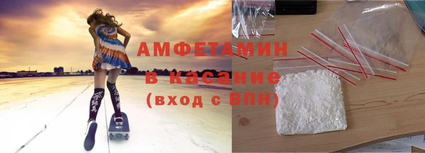 PSILOCYBIN Вяземский