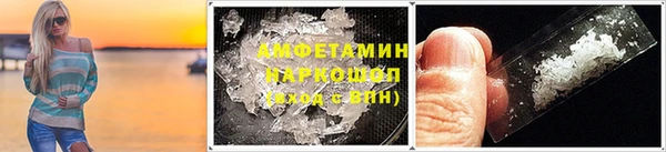 PSILOCYBIN Вяземский