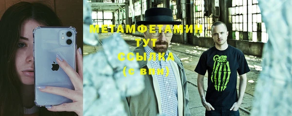 PSILOCYBIN Вяземский