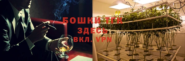 соль ск Горнозаводск